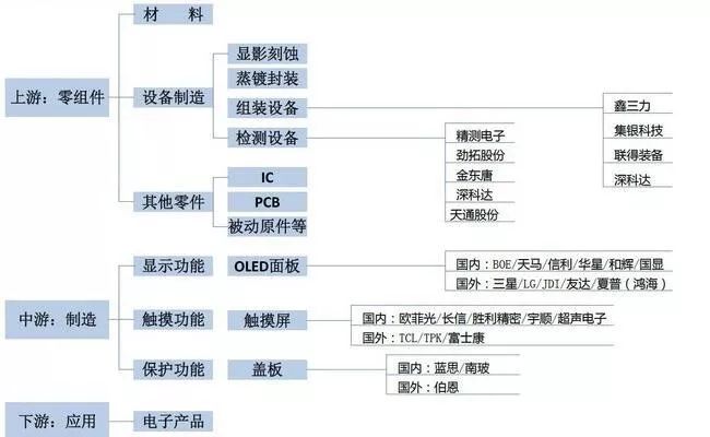 会展博览与公务员报考条件，探索职业发展的多元路径