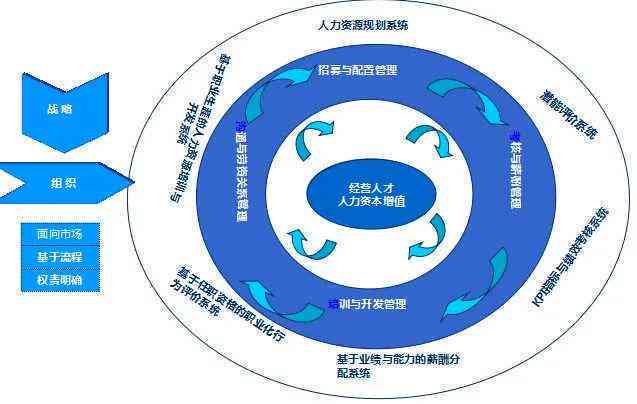 环训人才网，构建未来职场生态的桥梁