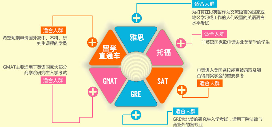 河北雅思1对1培训答案，提升雅思成绩的个性化策略